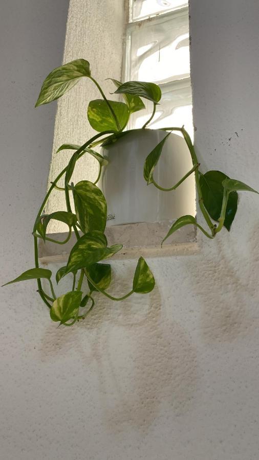 Locanda Le Ginestre Cantalupo in Sabina 外观 照片