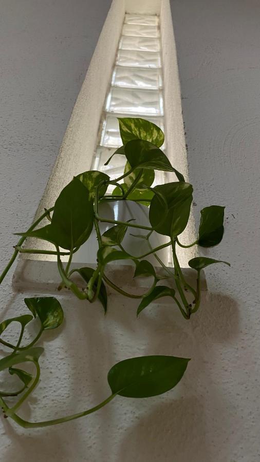 Locanda Le Ginestre Cantalupo in Sabina 外观 照片
